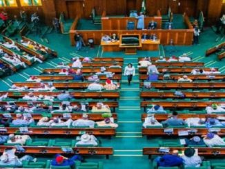 Nigerian Lawmakers Earn ₦600,000 Per Month - House Of Reps Spokesperson