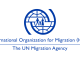 IOM Releases Over US$1.8m To Support Flood Victims Across Nigeria