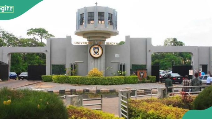 JUST IN: Significant Damages as Massive Flooding Hits Ibadan University, Details Emerge