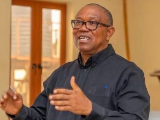 Our Nation Continues Its Dangerous Dance On The Edge Of Precipice - Peter Obi