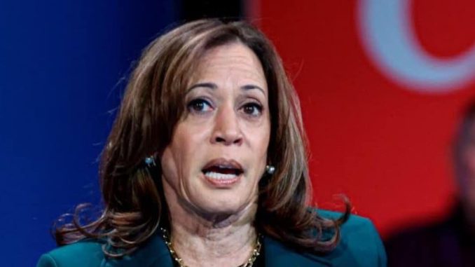 Kamala Harris promises to be ‘president for all’, says Trump ‘unstable’