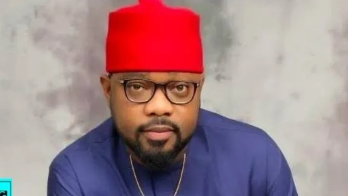 LG Poll: ‘Fly down to Rivers now in solidarity with Fubara’ – Ugochinyere tells PDP govs