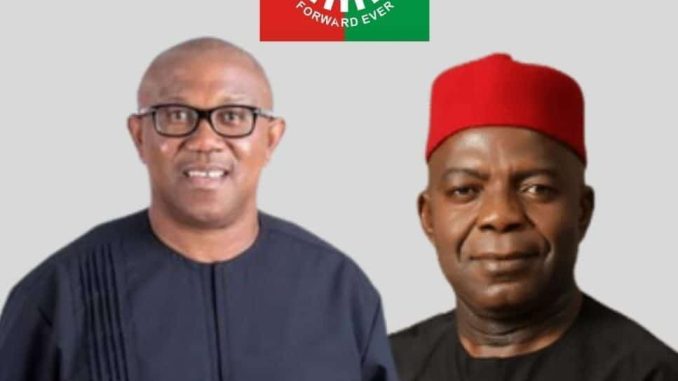 Labour Party Speaks On Sanctioning Peter Obi, Alex Otti, For Alleged Anti-party Activities