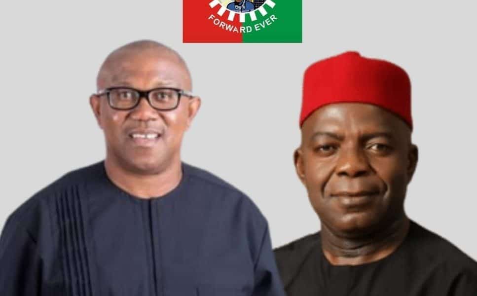 Labour Party Speaks On Sanctioning Peter Obi, Alex Otti, For Alleged Anti-party Activities