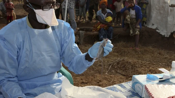 Lassa Fever Claims 21 Lives Out Of 240 Confirmed Cases In Edo