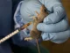 Lassa fever: NCDC records spike in Ondo, Edo