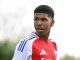 My mum, dad are from Nigeria, Ghana – Arsenal player, Harriman-Annous