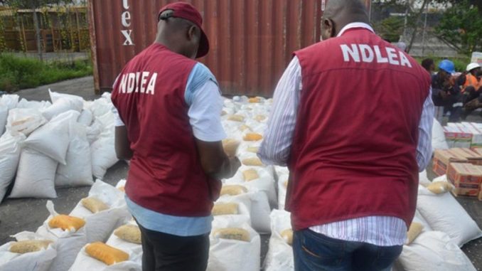 Kaduna NDLEA Arrests 84 Suspects, Seizes 451.976kg Illicit Drugs