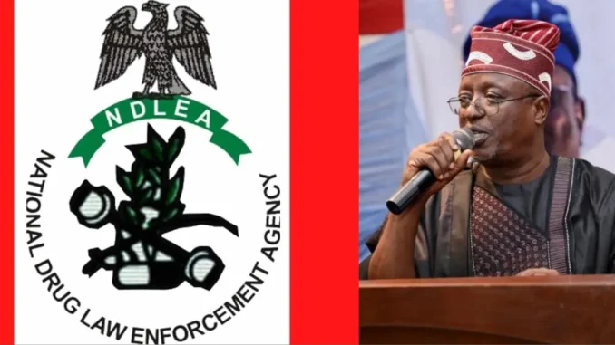 NDLEA vs Senator Ashiru: Lawyer urges anti-narcotics agency to address alleged internal corruption