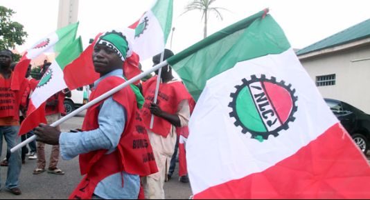 NLC stance on latest hike in petrol price