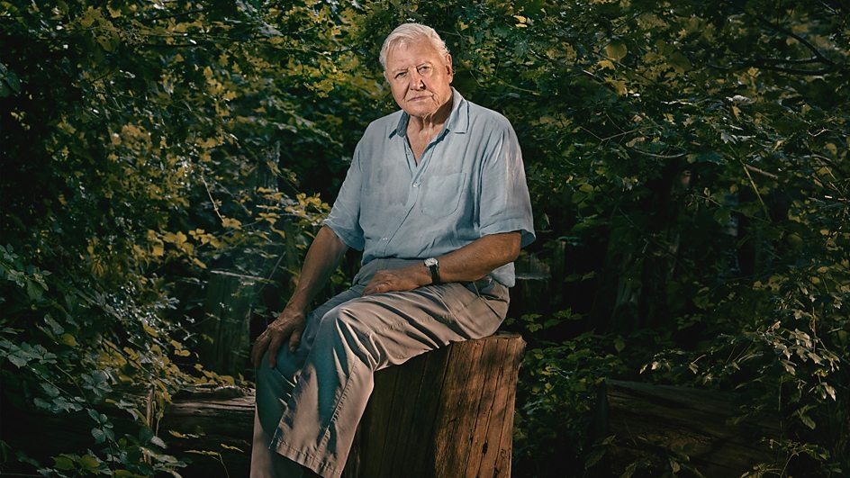 New David Attenborough series Asia is even BETTER than Planet Earth 3 as crew spot rare animal for the first time