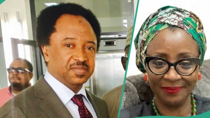 Nigerians React as El Rufai’s Wife Corrects Shehu Sani's Grammar on Twitter