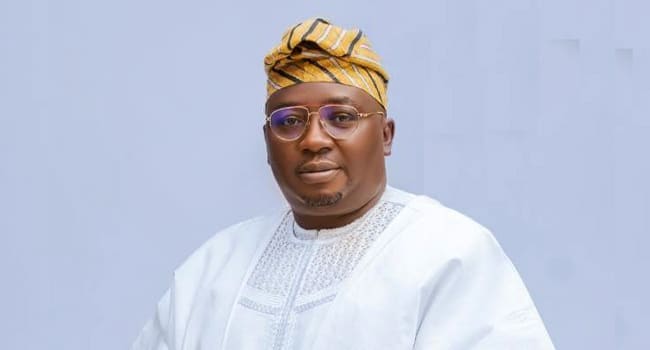 The Improvement In Nigeria's Power Supply Is Not Due To Rainfall - Adelabu Explains