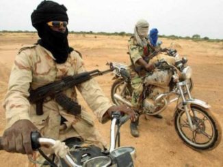 End Bandits' Attacks In Katsina, Gombe, Ondo Now - Reps Urge FG