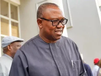 Poor Results: Peter Obi Will Not Save You In 2027 - Onuoha To LP Lawmakers