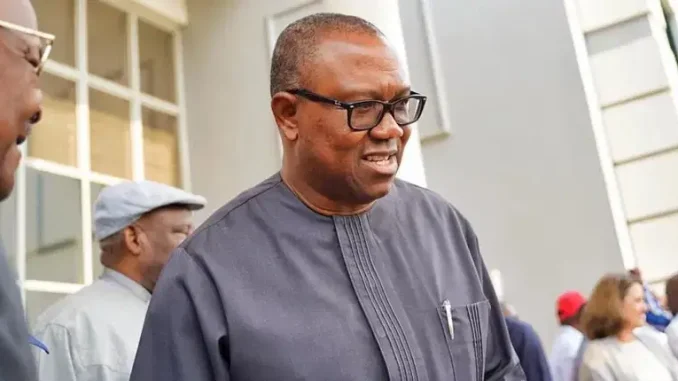 Poor Results: Peter Obi Will Not Save You In 2027 - Onuoha To LP Lawmakers