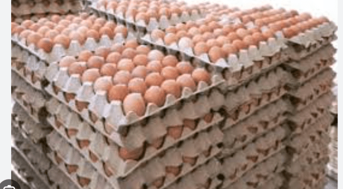 Price of crate of eggs to hit N10k as poultry farmers cry out