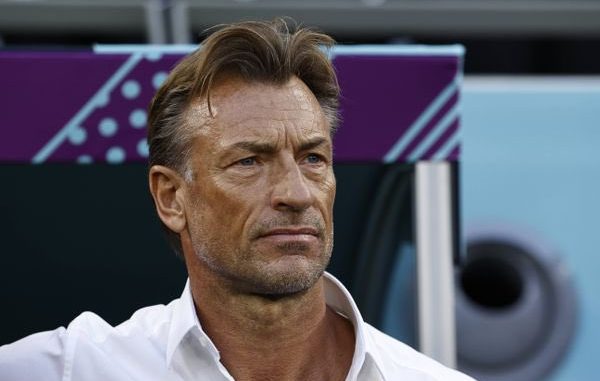 Renard Confirms Turning Down Super Eagles Coaching Job