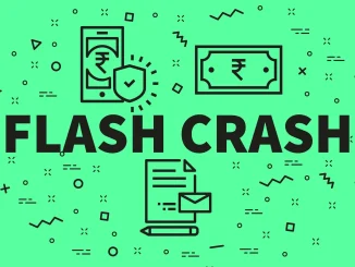 Role of Technology Providers During Flash Crashes