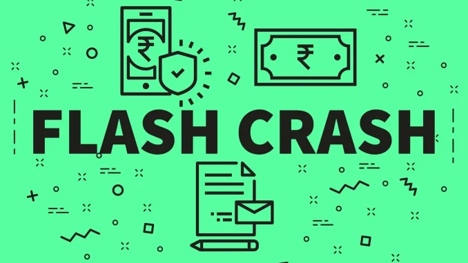 Role of Technology Providers During Flash Crashes