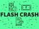 Role of Technology Providers During Flash Crashes