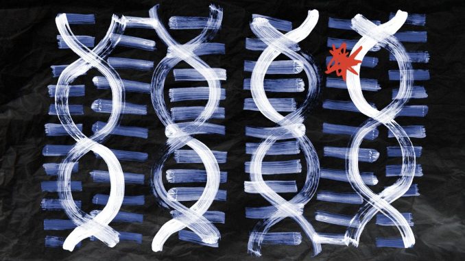 Scientists find combo of 14 genes that improve results