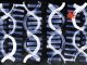 Scientists find combo of 14 genes that improve results