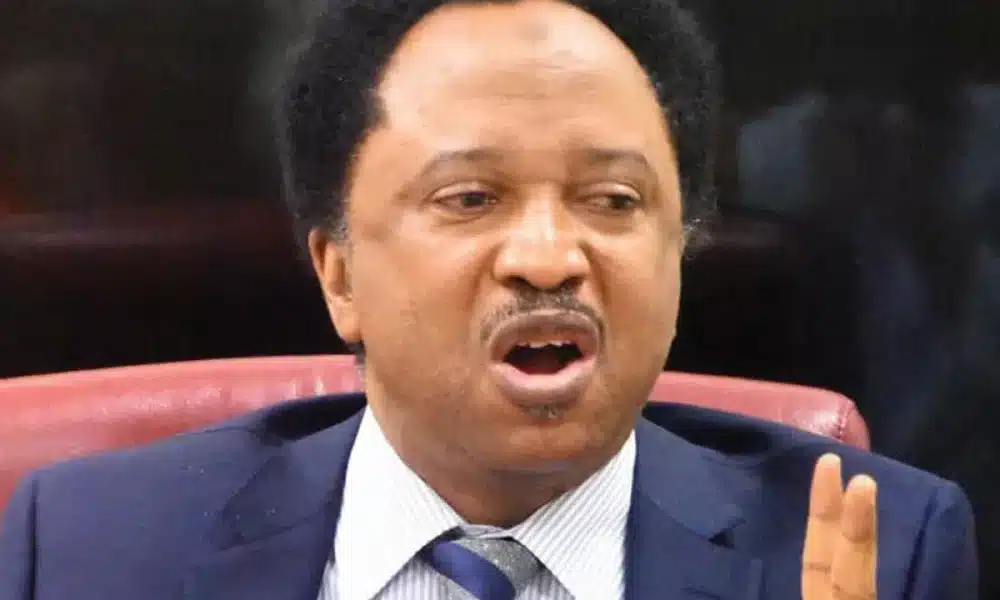 'I Hope They Have Read The Names' - Shehu Sani Replies Police Over #EndSARS Protesters Still In Custody