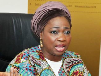 Stop Migrating To Countries Worse Than Nigeria - Dabiri-Erewa Begs Citizens