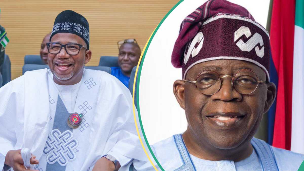 “These Policies are Not Working”: PDP Governor Blasts Tinubu’s Govt