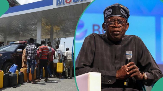 Tinubu Asks Nigerians to Go For Fuel Priced at N200, Marketers Import 123m Litres of Petrol