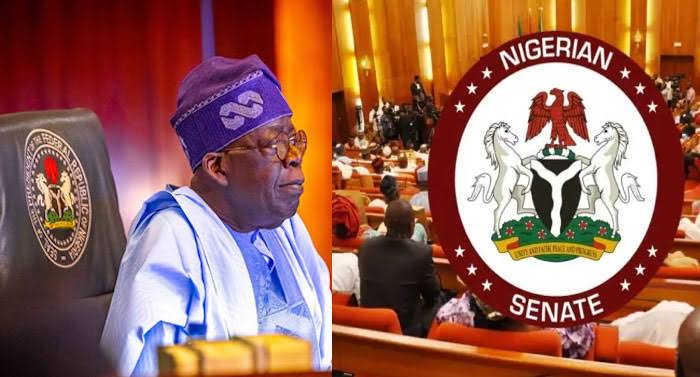 Nigerian Senate Tinubu