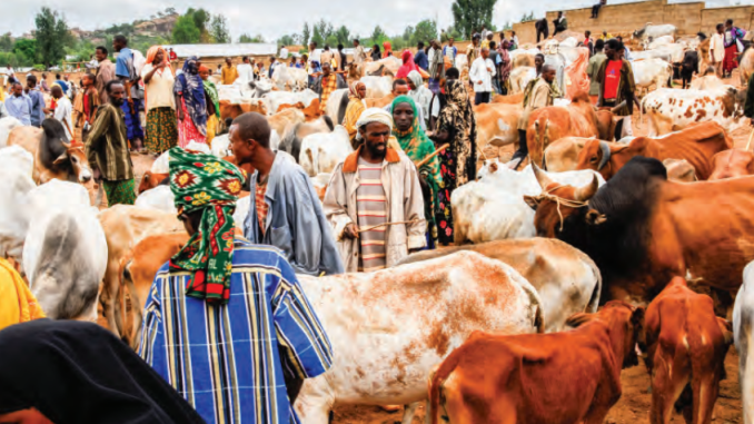 Tinubu Begins Livestock Reforms, Rallies Govs’ Support