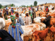 Tinubu Begins Livestock Reforms, Rallies Govs’ Support