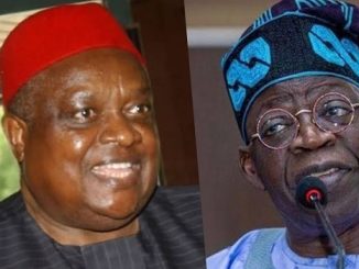 Align With Tinubu To End Marginalisation, Igbo Elders Tell Iwuanyanwu