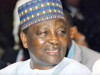 What I told Tinubu in our meeting - Gowon