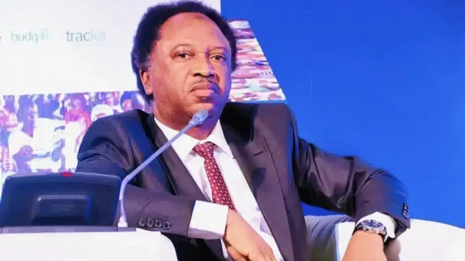 'Senegal's President-Elect, Bassirou Diomaye Faye Has Changed The Rule' – Shehu Sani