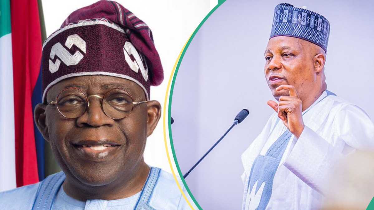 Why North Must Support Tinubu, Shetima in 2027, Kwankwaso Explains