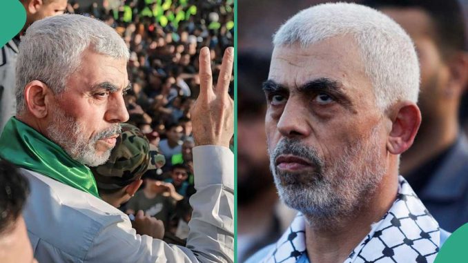 Yahya Sinwar: World Leaders Hope Peace Return to Gaza as Israel Kills Hamas Leader