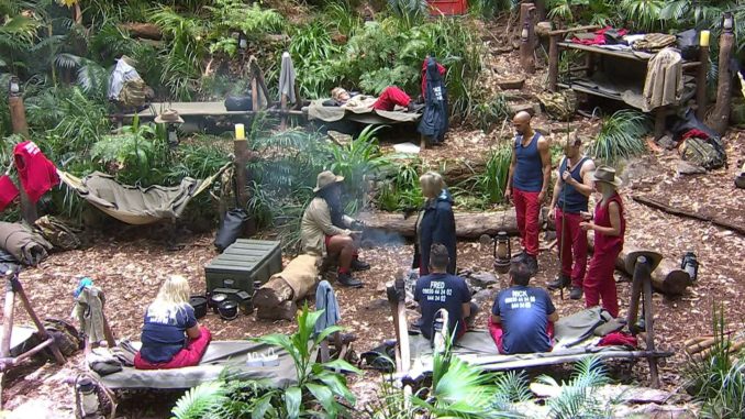 I'm A Celeb camp invaded by poisonous TOADS days before stars arrive to film first trial