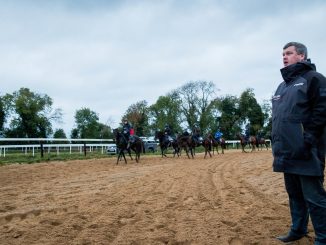 Gordon Elliot hints at Champion Hurdle tilt after superstar mare bolts up - but punters say she'll get 'hammered'