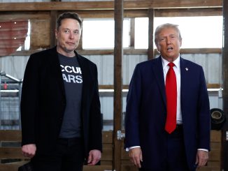 Kamala Harris' red tape will destroy future of AI - but Trump's friendship with Elon Musk is tech's savior, expert says