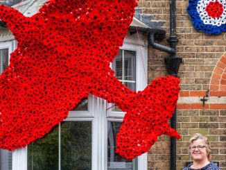 Remembrance Day fundraiser launches Spitfire poppy display outside her home