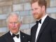 Prince Harry & King Charles reconciling is ‘extremely difficult’ as there's a key ‘trust issue to resolve’, claims pro