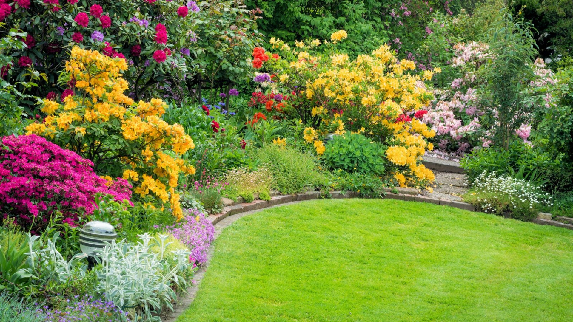 The 39p hack gardeners are swearing by to ‘boost plant performance’, and you can nab some from your local corner shop