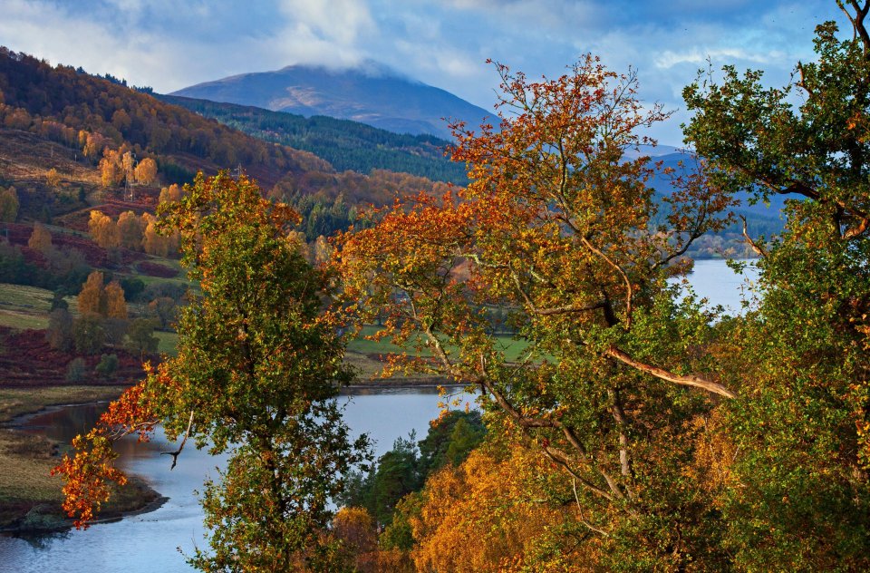 The aumnal colours glowing in the sunshine with a moody Schiehallion in background.