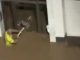 Moment ‘hero’ teacher smashes door with table leg to rescue kids as young as 5 trapped in school by rising Spain floods