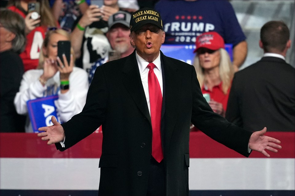 Donald Trump at a campaign rally on November 3 in Macon, Georgia