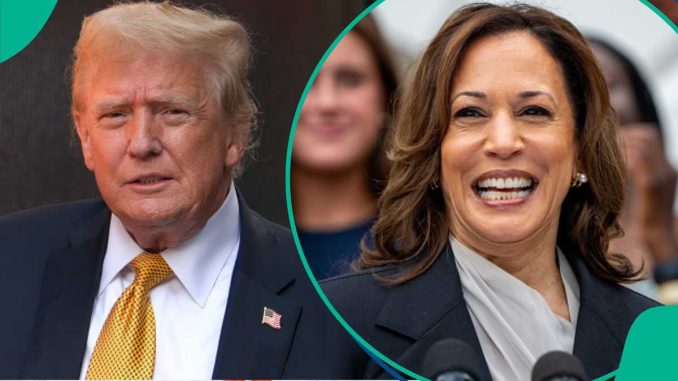 US Presidential Election Live Results: Kamala Harris vs Donald Trump