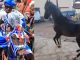 Nigerian Man Gr!eves L0ss of Viral Dancing Horse That Captivated 2024 Ojude Oba Festival (IMAGES)